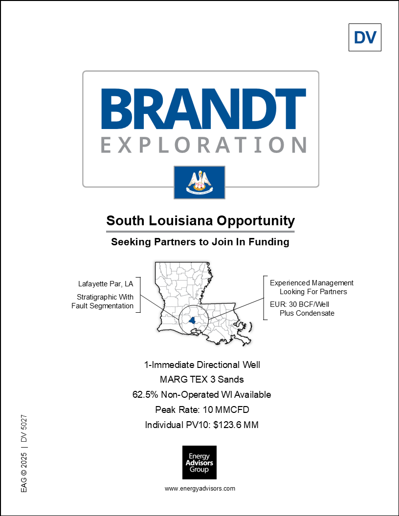 SOUTH LOUISIANA OPPORTUNITY - Energy Advisors Group SOUTH LOUISIANA OPPORTUNITY